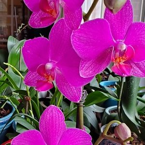 Meet your Posher, Rilma